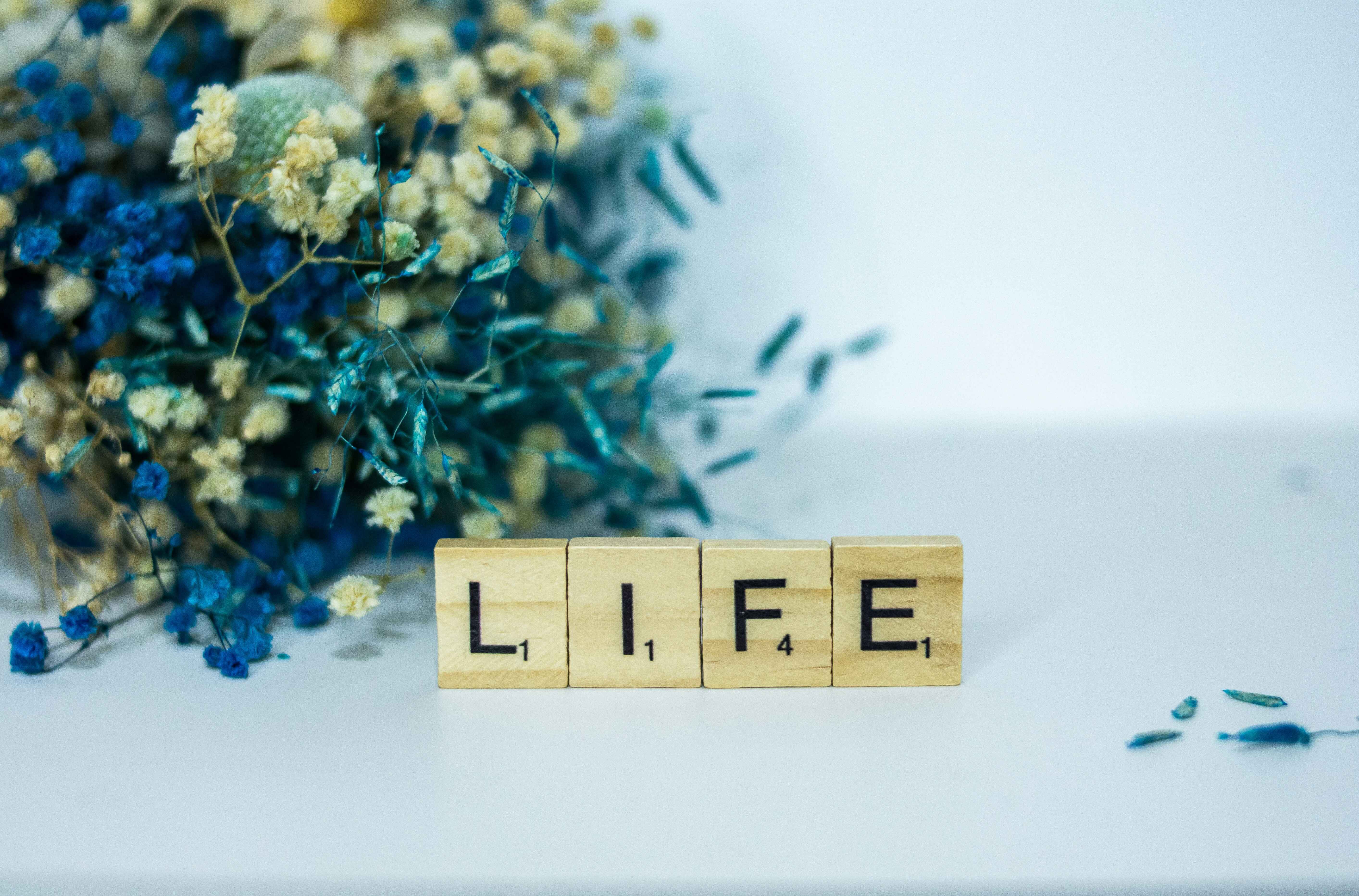 Life Insurance